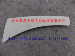 81.61510.5162,陜汽德龍右裝飾件總成,濟南尊龍(原天盛)陜汽配件銷售有限公司