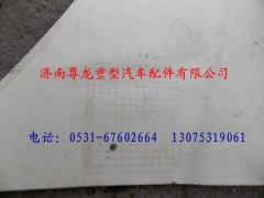 81.61510.5162,陜汽德龍右裝飾件總成,濟南尊龍(原天盛)陜汽配件銷售有限公司