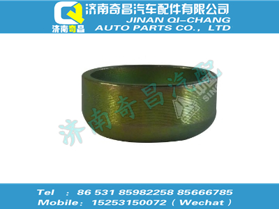 vg1246010041,王牌配件 王牌碗形塞,濟南奇昌汽車配件有限公司