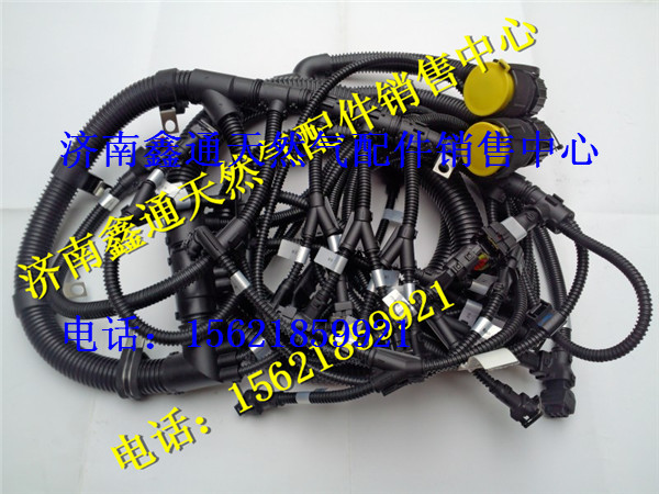 612600190534,濰柴天然氣發(fā)動(dòng)機(jī)線束,濟(jì)南鑫通天然氣銷(xiāo)售中心