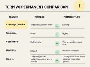 Term vs Permanent Life Insurance